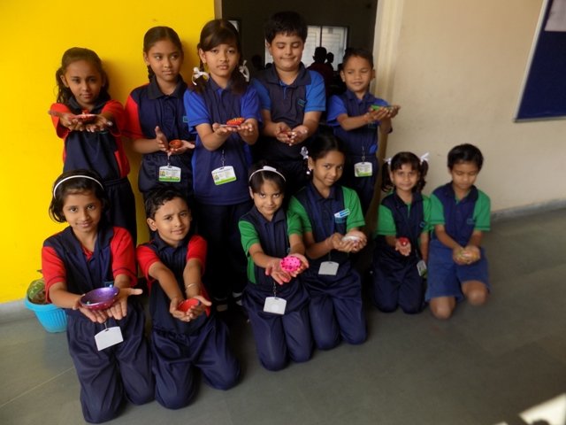 Activity Gallery